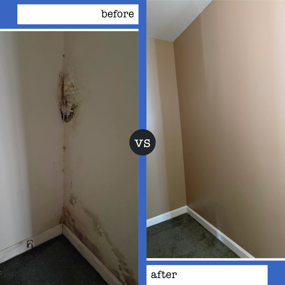 Repairs - Jackie Green - Basement - Apartment Wall